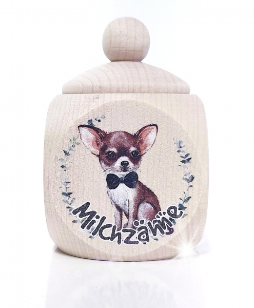 Chihuahua Junge MZD